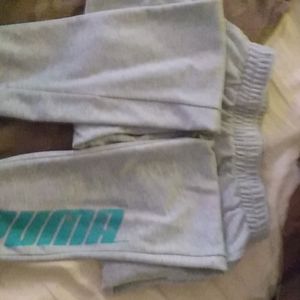Puma grey with aqua writing, US Large.